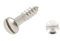 50 Stk, DIN 95 A2 2,5X16 Holzschraube Linsensenkkopf Schlitz EDELSTAHL A2 V2A