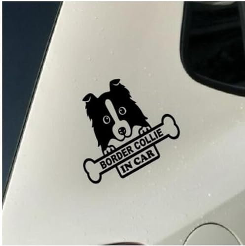 (2 Stück) Autoaufkleber Und Abziehbilder, 17 X 11 Cm, Hundeaufkleber Für Autoaufkleber Und Vinylaufkleber, Laptop-Aufkleber, Motorrad-Skateboard, Lustige Vinyl-Aufkleber