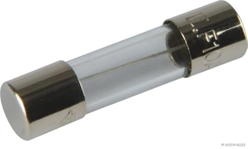 Jakoparts 50295056 Glassicherung