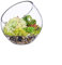 Transparente Glasvase/Glas-Terrarium/Schräg geschnittene Blasenschale, Fischglas- und Pflanzen-Terrarium, schräg geschnittene Kugelvase, Mittelstück, runde Blumenvase(17,8 cm hoch, 17,8 cm breit)