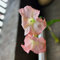 Semi Di Piante Datura Brugmansia - Datura Stramonium - Semi Autofiorenti Esotiche Particolarmente Produttive Bella Pianta Ornamentale - 50 Pezzi