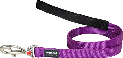 Red Dingo Dog Lead 1.2m Plain, Classic Purple, Size Small (15mm x 1.2m)