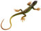 STOBOK Lizard Figur Gefälschte Kunststoff Spielzeug Action Figure Reptil Spielzeug für Sammlung Wissenschaft Pädagogisches Prop ( Grün )