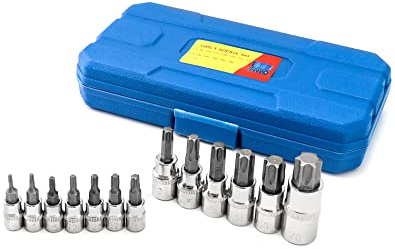 QWORK Lot de 13 Embouts Torx, T8-T70, Acier Allié Cr-V, Douilles Torx 1/2, 3/8, 1/4