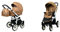BabyLux Color Lux 2-in-1 Baby Kinderwagen Tief und Kinderwagen mit Zubehör Verstellbar und faltbar Aluminiumkonstruktion Wasserdichte Nicht abnehmbare Räder Sand Pearl White Frame