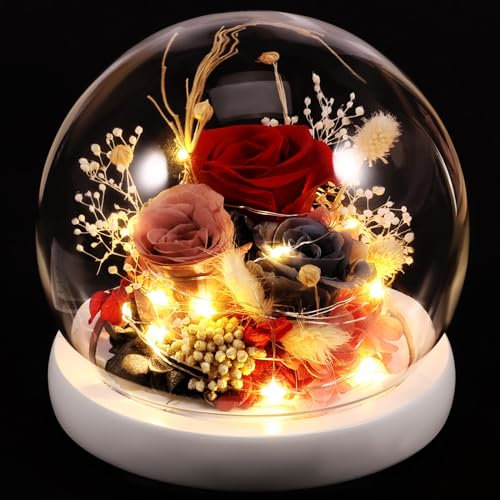 BOBASH Rosa eterna sotto campana, rosa eterna con luci a LED, rosa cupola in vetro fiore artificiale con LED, bella e bestia rosa in vetro, rosa sotto campana, rosa regalo per Natale(rosso)