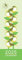 2025 I Like Birds Schmaler Wandkalender