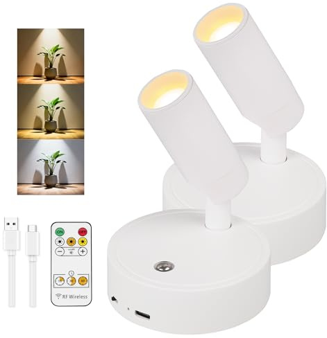 SOAIY 2erSet Led dimmbare Wandleuchte kabellos 3000mAh Akku Wandlampe Innen | mit Fernbedienung Timer 3 Lichtfarbe schwenkbar Wandstrahler magnetisch Bilderleuchte für Schlafzimmer Wohnzimmer Flur Treppe