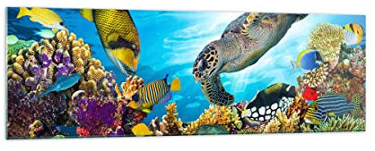 ARTTOR Bilder auf Glas 160x50cm Wandbild Glasdruck Reisen Tiere - 3704