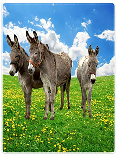 Violetpos Dick Decke Weich Wärme Gemütlich Fleece Sofadecke DREI Esel Auf Dem Gras Blauer Himmel 150 x 200 cm