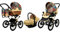 BabyLux Kinderwagen 3in1 mit Autositz für Kleinkinder – Kinderwagen für Neugeborene und Kleinkinder –– Baby Neugeborenen Kinderwagen – 59x105x125cm – Max 15kg – Jungle Flowers Gold Frame