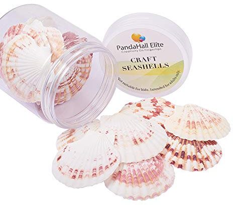 PandaHall Elite über 23~28 Teile/schachtel Lareg Flache Shell Perlen Natürliche Muschel Charms für Anhänger DIY Handwerk, Home Party Dekoration, 30~80mm, Mischfarbe