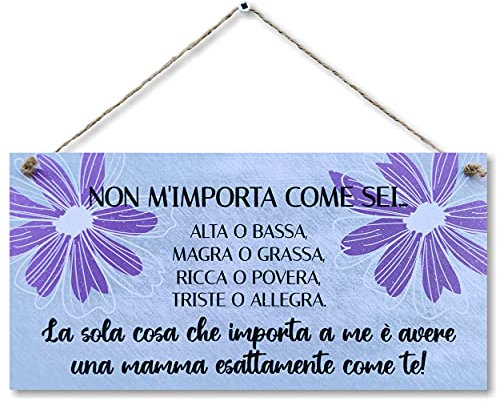 CARISPIBET Non m'importa come sei. | segni decorativi figli divertenti decorazioni d'interni targhe decorative di compleanno decorazioni per la casa madre regali per lei 15 x 30 cm