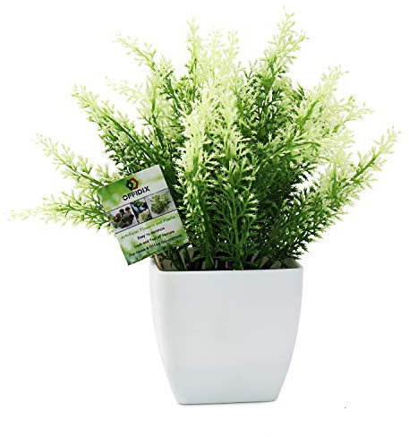 OFFIDIX Fake Plant Plastic Green Plant with Square Vase, Home Faux Plastic Plants for Home,Garden,Office,Wedding and Indoor Outdoor Decoration