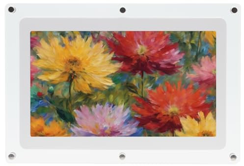 Canvia Kinetic Digital Art Frame - Cadre photo intelligent pour lire des vidéos Full HD, des photos ou des images sur boucle - Cadre acrylique, mémoire de 4 Go avec batterie (10F)