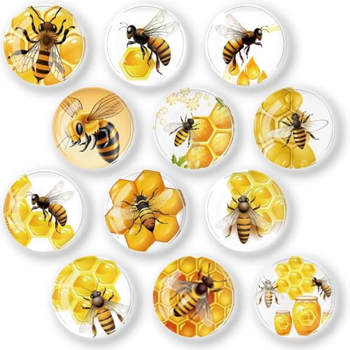 12 Stück Kühlschrankmagnete Glascabochons Glasmagnete Magnete Kinder Kühlschrankmagnete Dekorative zum Kühlschrank für Whiteboards Kühlschränke Fotos (Runde/30 mm)-Klein Biene