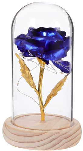 Ciieeo Rose Éternelle sous Cloche en Verre Lumière LED, Décoration Immortelle en Bois et Plastique, Longue Durée et Faible Consommation, Présent pour Fête des Mères