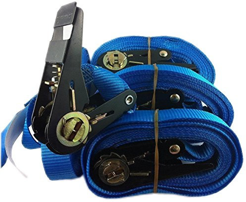Timtina SETPREIS 4 STÜCK! Zurrgurte Spanngurte Ratschengurte Farbe nach Wahl 800 Kg 4 Meter En12195-2 (6 Meter, blau)