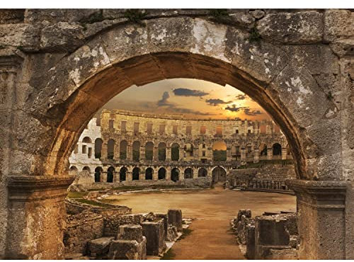Runa Art Fototapete Colosseum Rom 352 x 250 cm Vlies Tapeten XXL Moderne Wandtapete Wohnzimmer Schlafzimmer Braun 9130011a