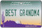 Arizona - Best Grandma Nummernschild Auto Lufterfrischer