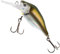 Fox Rage 50mm 7g Funk Bug SR UV - Wobbler Crankbait, Farbe:Real Shiner