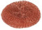 Robert Scott Copper coated Scourer 20g, Pack Of 20, 15x33x9cm 102545