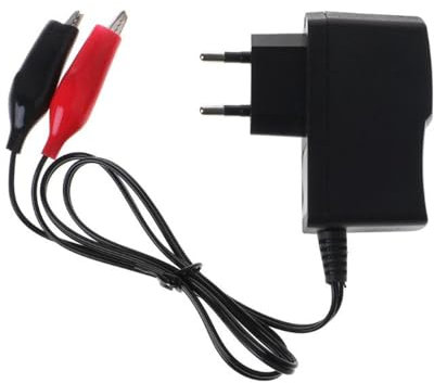 Newyuan Chargeur de Batterie Plomb-Acide scellée avec Pince Crocodile et Voyant LED, Chargeur Intelligent de Batterie PB 12V 1A(SLA) pour Voiture, Moto et Tondeuse à Gazon