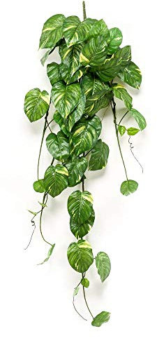 artplants.de Pothos Finto Pendente JULIANO su Asta, Verde, 135cm - Pothos Artificiale - Pianta Finta