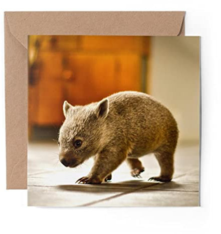1 x Grußkarte (Fotoeinsatz) – Baby Wombat Australien Tier – blanko Geburtstagsfeier Jahrestag #2296
