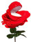 Wjsdsg Mehrzweck Ringkästchen Mit Rosenblüten Einzigartiger Eheringhalter Florales Verlobungsringkästchen Schmuck Display