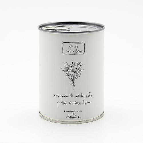 Kit para Plantar Flores en Caja - Semillas de Flores de Colores - Regalo Original para Amigos, Familiares, Fiestas y Cumpleaños - Regalo Ecológico para el Día de la Familia - Fácil de Usar