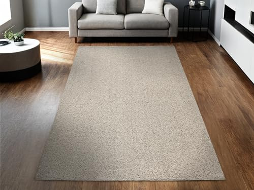 AKCILA Sphinx Shaggy Teppich Hochflor 150x250cm Beige weicher Flauschiger Rug mit 23 mm Florhöhe, moderner Carpet Relax, großer Teppich, ideal für Wohnzimmer, Schlafzimmer, Moderne teppiche Boho