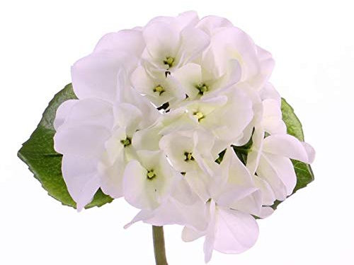 artplants.de Künstliche Mini Hortensie CHIDORI, Creme, 30cm, Ø 13cm - Kunsthortensie - Künstliche Blume