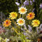 Garden Gear Metal Daisy Stakes, Decorative Multicolored Ornament, Outdoor Novelty Flowers for Pathways, Patios & Borders, Height 57cm (Yellow)