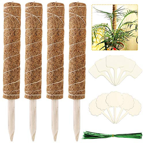 FENGZHU Moosstab Rankhilfe mit 10 Pflanzenschilder, 50 Kokosstab Rankstab 4 Stück 40 cm Für Haus Garten Kletterpflanze Erweiterung Der Pflanzenstütze