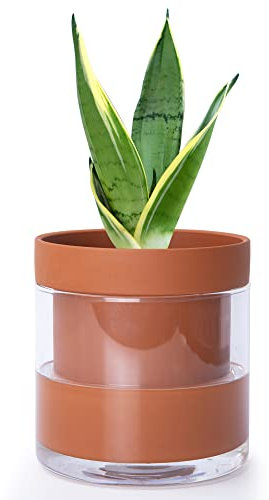 Phoenix Vine 52-A-F-1 Pot de Fleurs à arrosage Automatique en Terre Cuite avec réservoir en Verre pour Plantes d'intérieur, Herbes, Fleurs