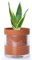Phoenix Vine Selbstbewässernder Übertopf, 15,2 cm, Terrakotta-Tontopf mit Glasreservoir für Zimmerpflanzen, Kräuter, Blumen, 52-A-F