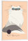 artboxONE Poster mit weißem Rahmen 18x13 cm Für Kinder My Name is Magsi - Bild cat Baby cat