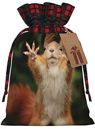 LAMAME Eichhörnchen Lustige Tier gedruckt Weihnachten Kordelzug Geschenktüten mit Kraft Etiketten Geschenkpapier Taschen