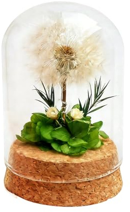 LUMITERRA Wunscherfüller Pusteblume im Glas, Konservierte Blumen Glücksbringer Mitbringsel Geschenkideen Besondere Geschenke, Deko Geschenke im Glas, für Mama, Oma, Frauen,Geburtstag