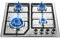 Gas Hob 4 Burners, NG/LPG Convertible, Built-in Stainless Steel Cooktop with Flame Failure Protection, Cast Iron Pan Support