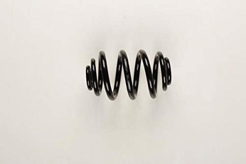 KYB RJ6201, KYB Rear Coil Spring Replacement (Single Unit) RJ6201