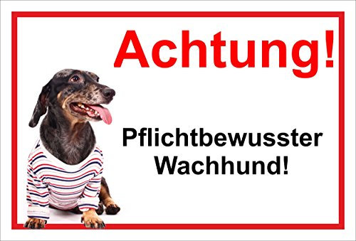 Melis-Folienwerkstatt Schild Warnschild Vorsicht freilaufender Hund – Dogge Achtung – Pflichtbewusster Wachhund – 20x30cm – S21H