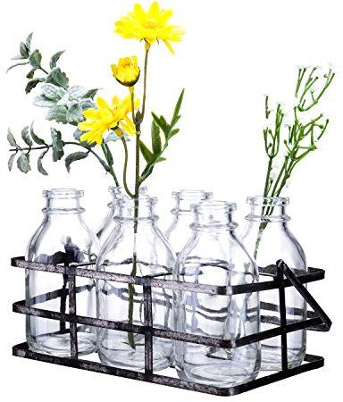 Diamond Star Mason Jar Blumenvasen Deko Glasflaschen Set mit Metallkorb (6er Set)