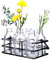 Diamond Star Mason Jar Blumenvasen Deko Glasflaschen Set mit Metallkorb (6er Set)