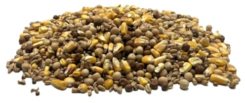 Mixed Pigeon Corn 1.5kg Premium Quality Bird Food XLJ