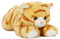 Unbekannt SEMO CTO-10LD01 - Katze rot getigert