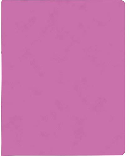 Ringbuch A4 FACT!plus 2R 15mm pink