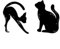 BSGP Katzen-Eyeliner-Schablonen, mattes PVC-Material, rauchige Lidschatten-Applikatoren, Vorlage, Lidschatten, Führungswerkzeug, 2 Stück