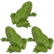 Kisangel 3 Stück Frösche Modelle Miniatur Frosch Figur Kunststoff Frosch Statue Modelle Spielzeug Fairy Garden Ornament für Kinder pädagogische Party Favors